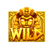 สัญลักษณ์ WIld